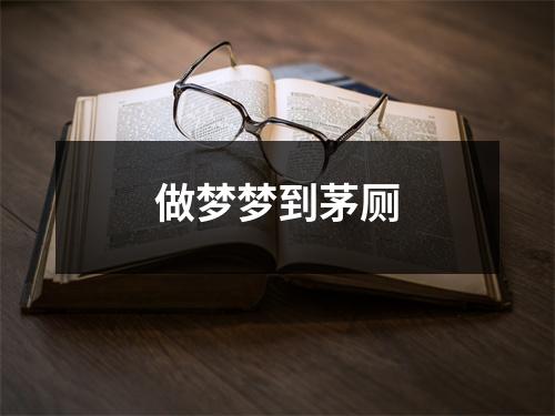 <h3>做梦梦到茅厕