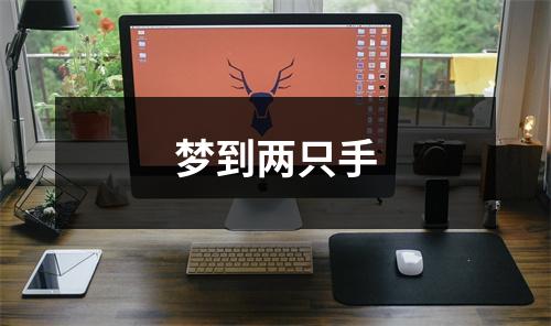<h3>梦到两只手