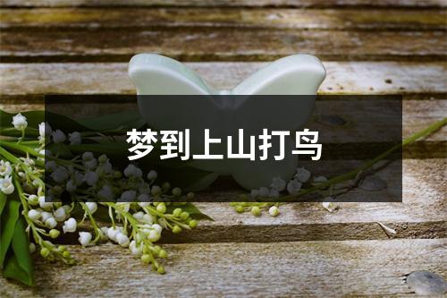 <h3>梦到上山打鸟