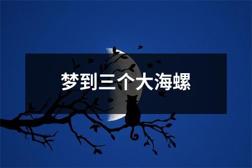 梦到三个大海螺