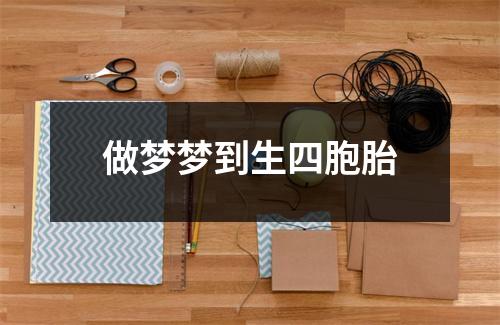<h3>做梦梦到生四胞胎