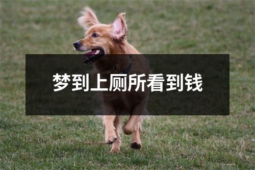梦到上厕所看到钱