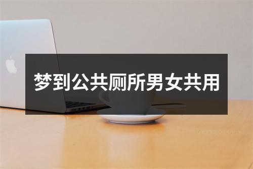 梦到公共厕所男女共用