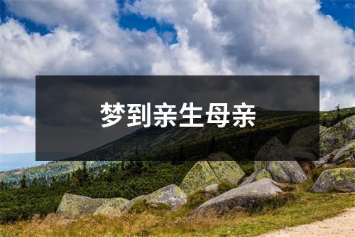 <h3>梦到亲生母亲