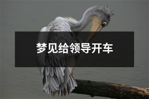 <h3>梦见给领导开车