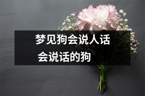 <h3>梦见狗会说人话会说话的狗