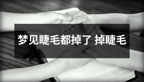 <h3>梦见睫毛都掉了掉睫毛