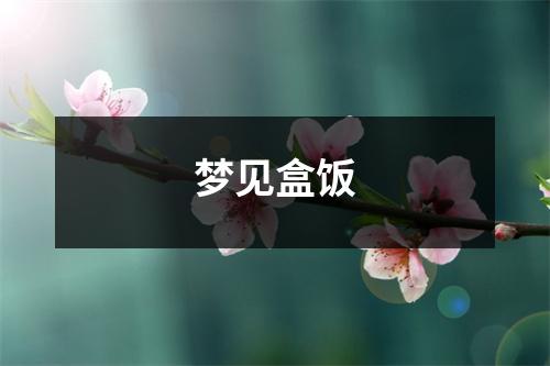 梦见盒饭