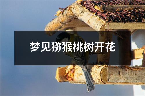 <h3>梦见猕猴桃树开花