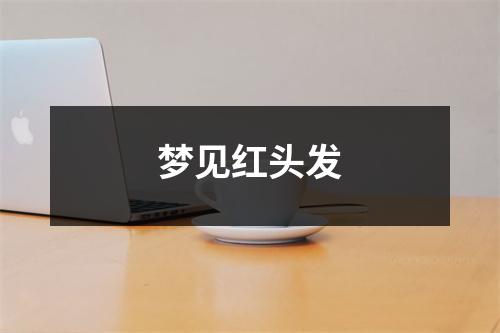 <h3>梦见红头发
