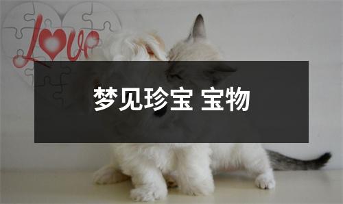 <h3>梦见珍宝宝物