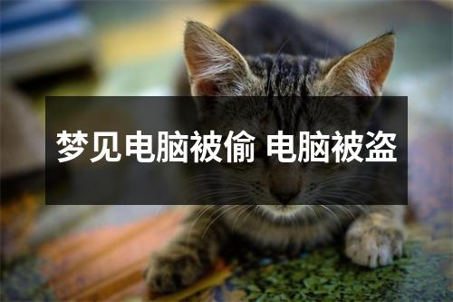 梦见电脑被偷电脑被盗