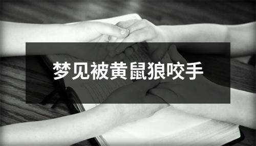 <h3>梦见被黄鼠狼咬手