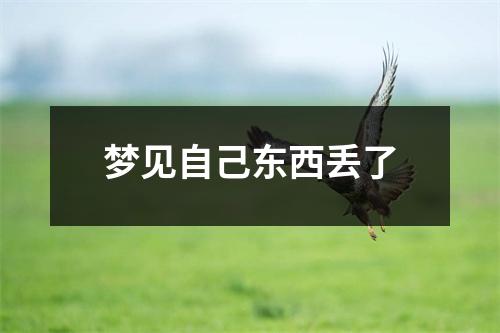 <h3>梦见自己东西丢了