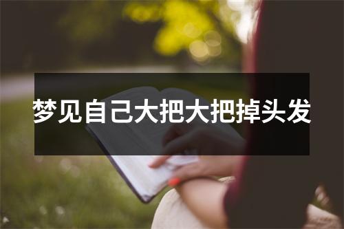 <h3>梦见自己大把大把掉头发