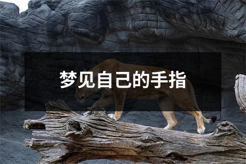 <h3>梦见自己的手指