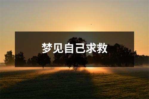 <h3>梦见自己求救