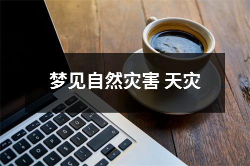 梦见自然灾害天灾