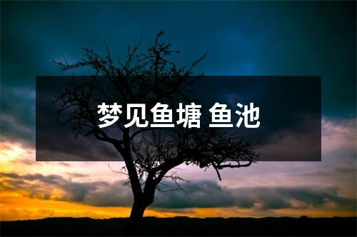 <h3>梦见鱼塘鱼池