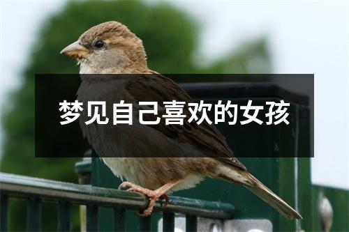 <h3>梦见自己喜欢的女孩