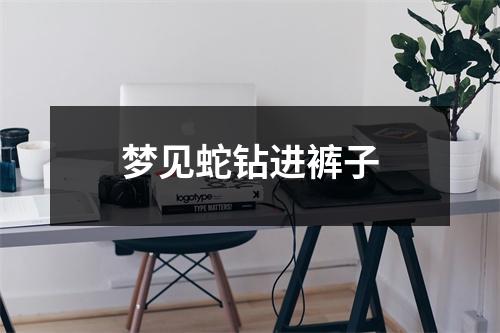 <h3>梦见蛇钻进裤子