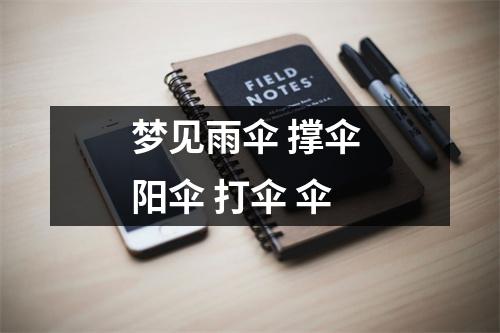 <h3>梦见雨伞撑伞阳伞打伞伞