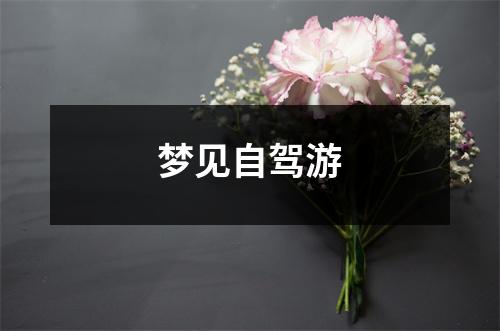 <h3>梦见自驾游