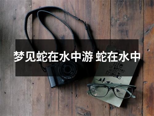 <h3>梦见蛇在水中游蛇在水中
