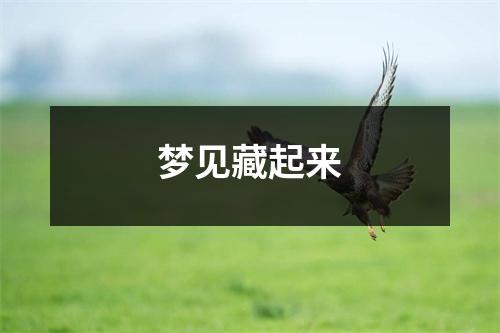 <h3>梦见藏起来