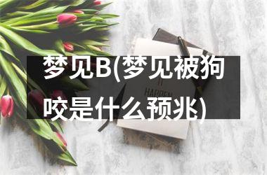 梦见B(梦见被狗咬是什么预兆)