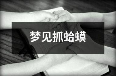 <h3>梦见抓蛤蟆