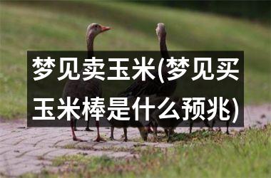 <h3>梦见卖玉米(梦见买玉米棒是什么预兆)