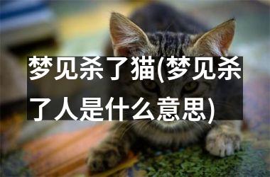 <h3>梦见杀了猫(梦见杀了人是什么意思)