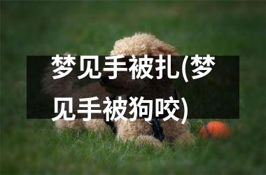 <h3>梦见手被扎(梦见手被狗咬)
