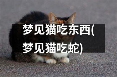 梦见猫吃东西(梦见猫吃蛇)