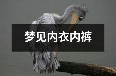 梦见内衣内裤