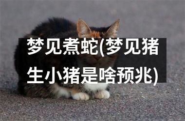 <h3>梦见煮蛇(梦见猪生小猪是啥预兆)