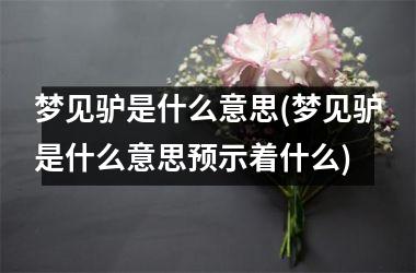 梦见驴是什么意思(梦见驴是什么意思预示着什么)