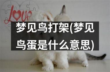 <h3>梦见鸟打架(梦见鸟蛋是什么意思)