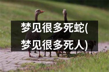 <h3>梦见很多死蛇(梦见很多死人)