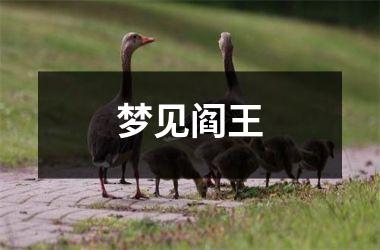 <h3>梦见阎王