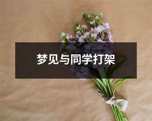 <h3>梦见与同学打架