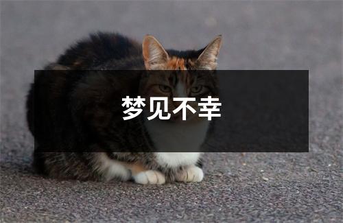 <h3>梦见不幸