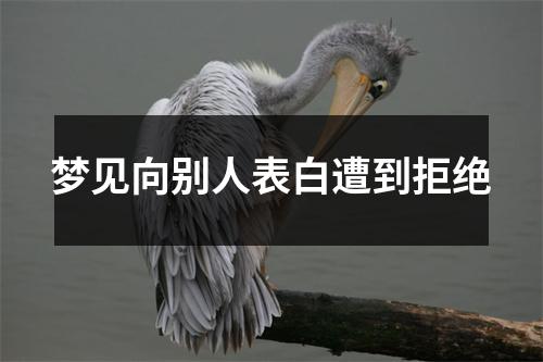 <h3>梦见向别人表白遭到拒绝