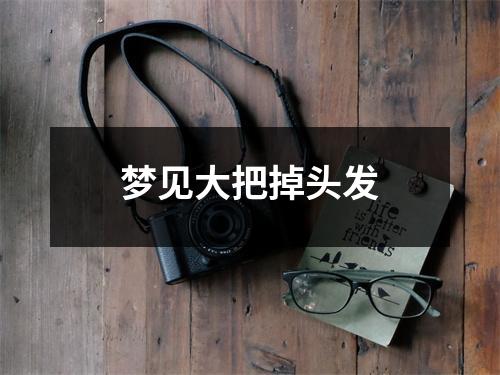 <h3>梦见大把掉头发
