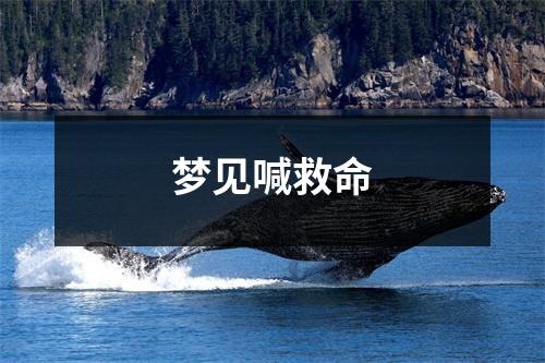 <h3>梦见喊救命