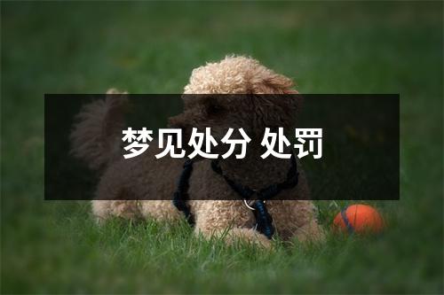 <h3>梦见处分处罚