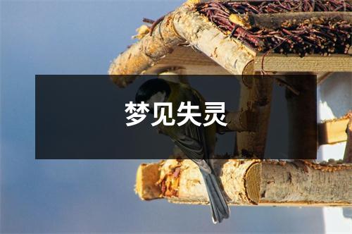 梦见失灵