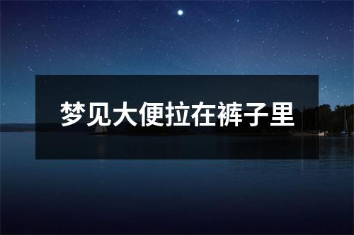 <h3>梦见大便拉在裤子里