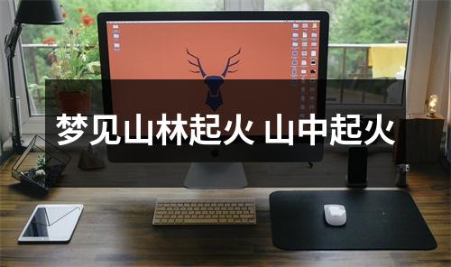 <h3>梦见山林起火山中起火
